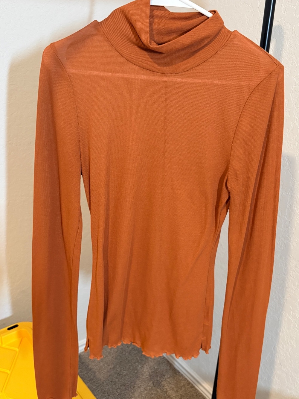 Intimately Free People Long Sleeve Turtleneck Top in Rust Orange